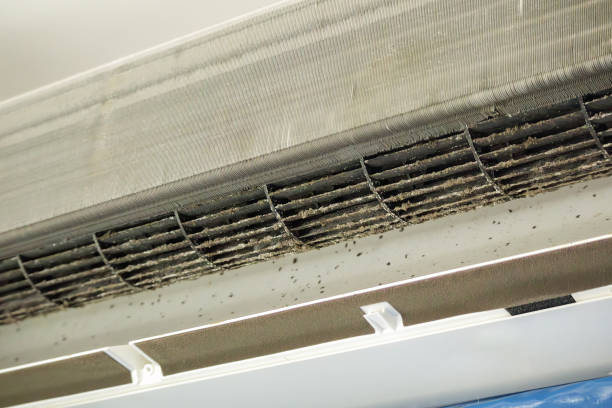 Best Emergency Air Duct Cleaning  in Day Valley, CA